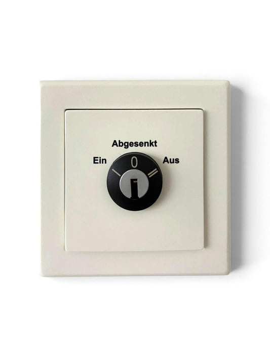 ROD1 KS3 Gira System 55 rwsg key switch